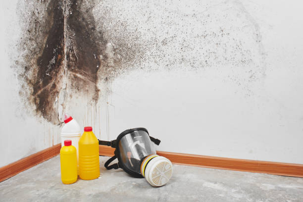 HVAC Mold Remediation